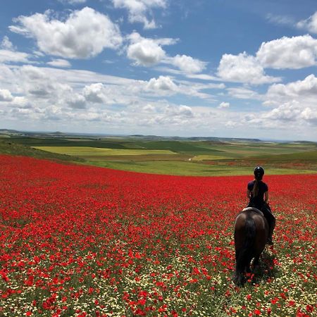 Ibersol La Casona De Andrea Otel Tiedra Dış mekan fotoğraf