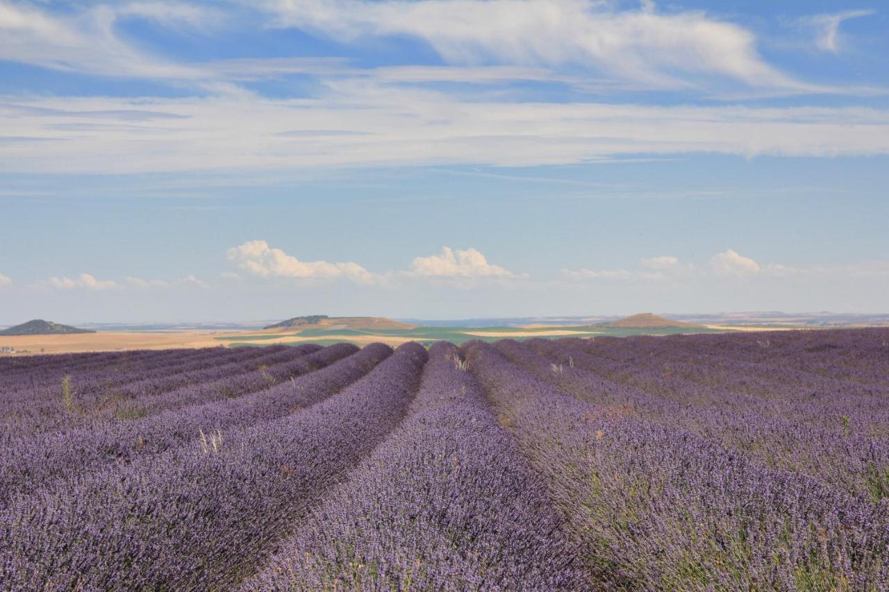 Ibersol La Casona De Andrea Otel Tiedra Dış mekan fotoğraf